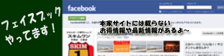 facebook Skim One